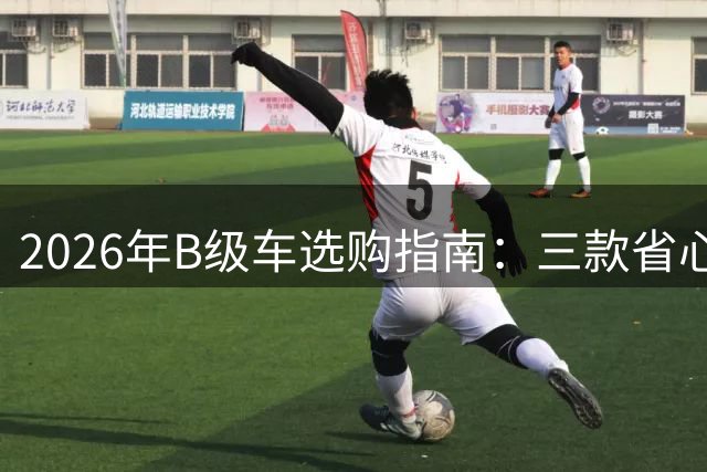 2026年B级车选购指南：三款省心车型推荐